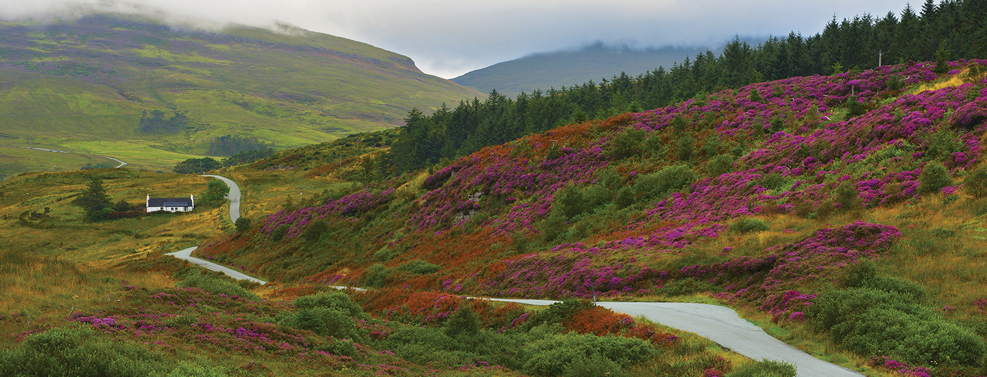 cie tours scottish and irish gold