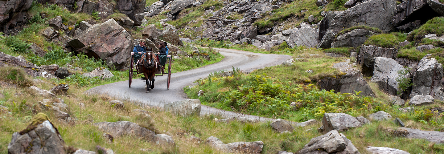 Ring of Kerry Horse Ride