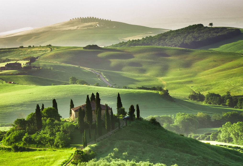 Vineyards in Italy