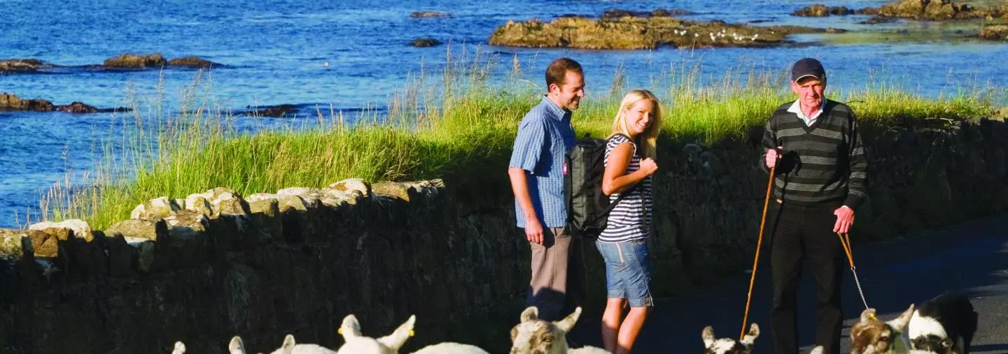 CIE Guided Tours to Europe