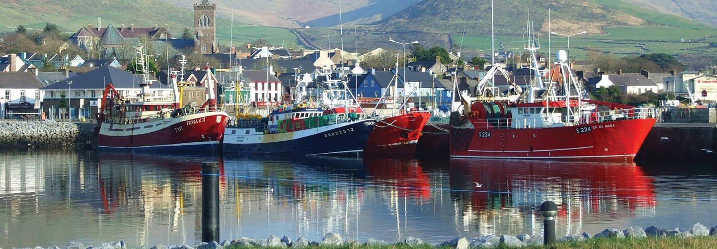 Dingle Marina