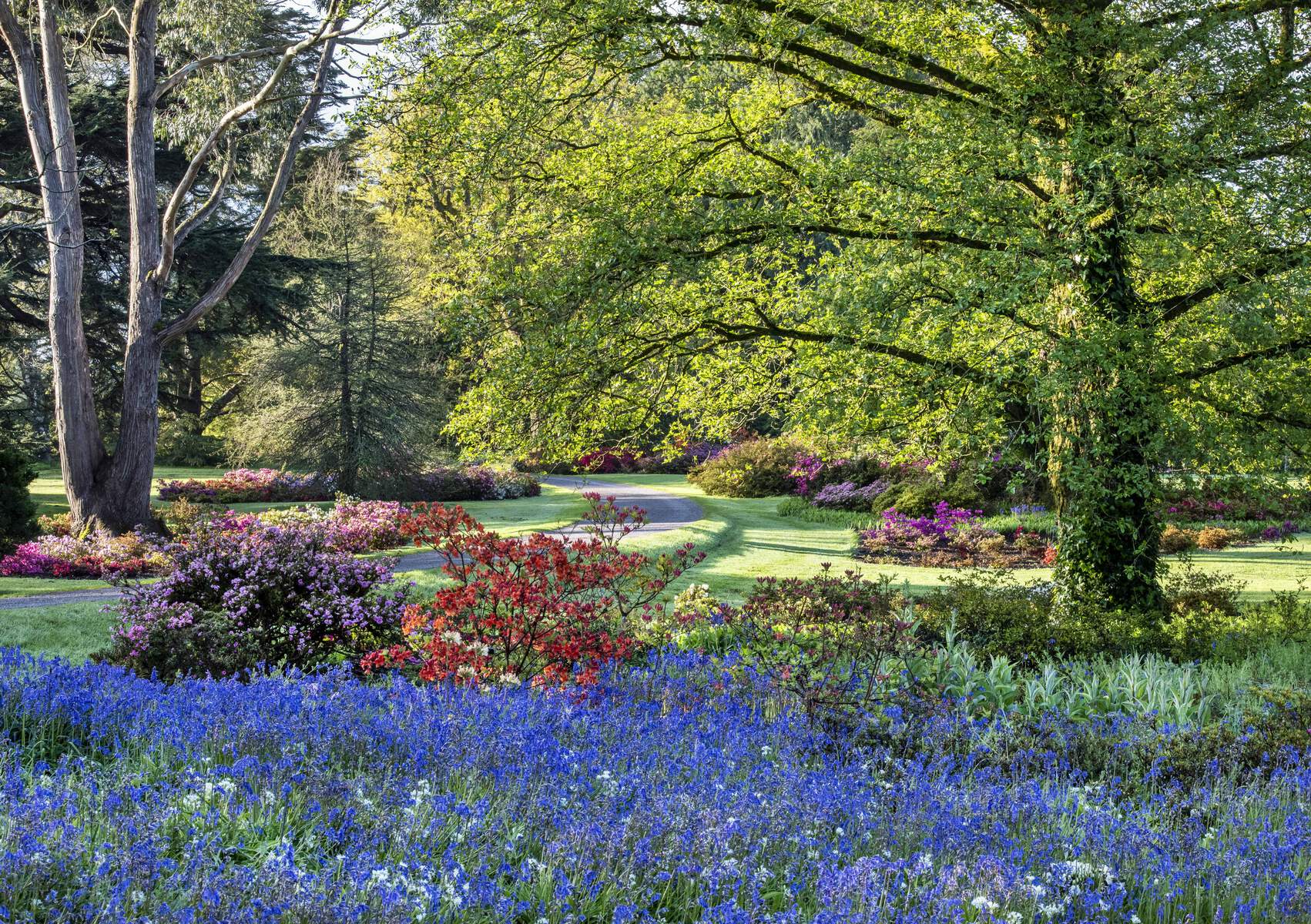 The gardens at Blarney Castle