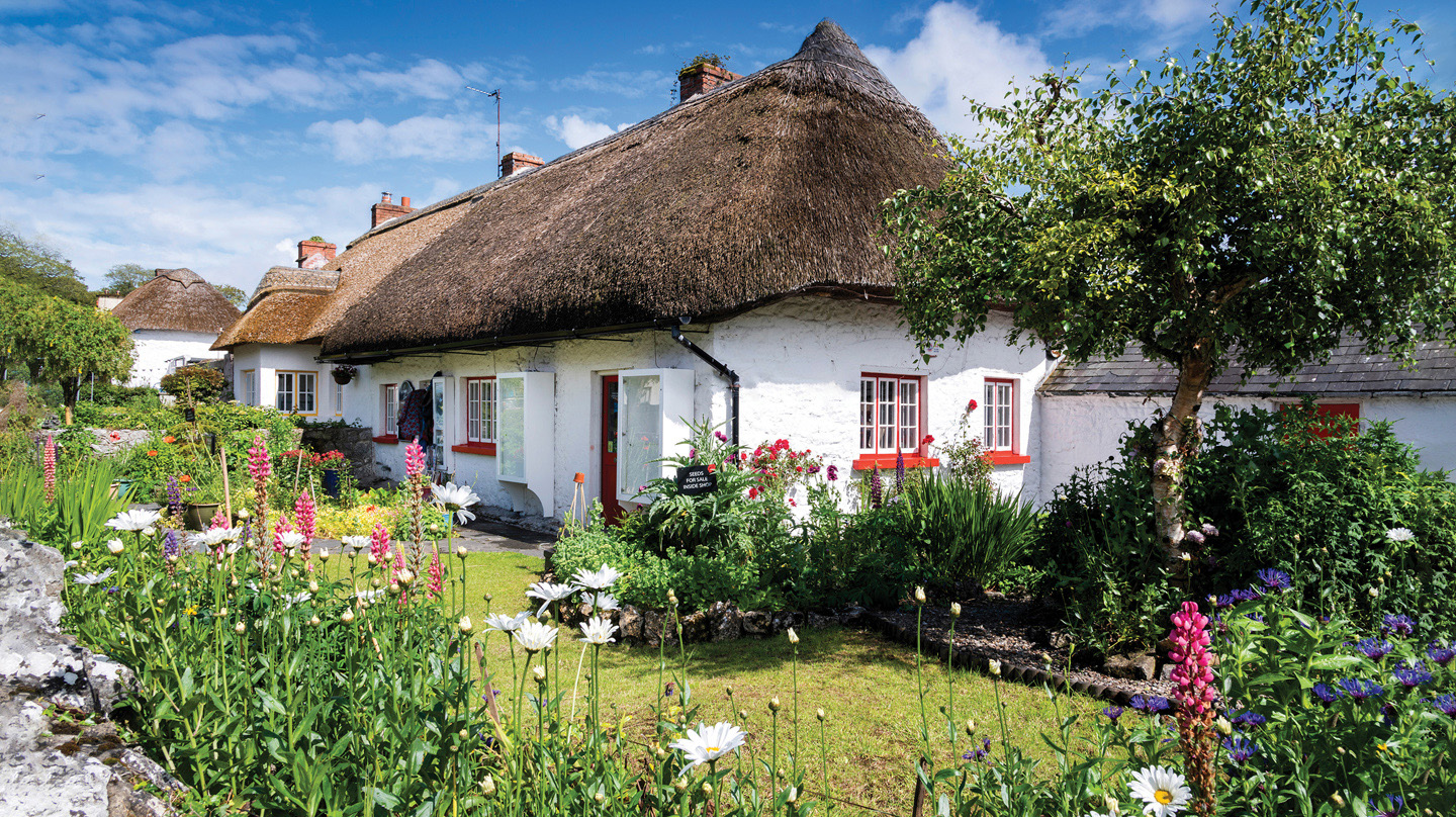 Thatched Cottage in Adare