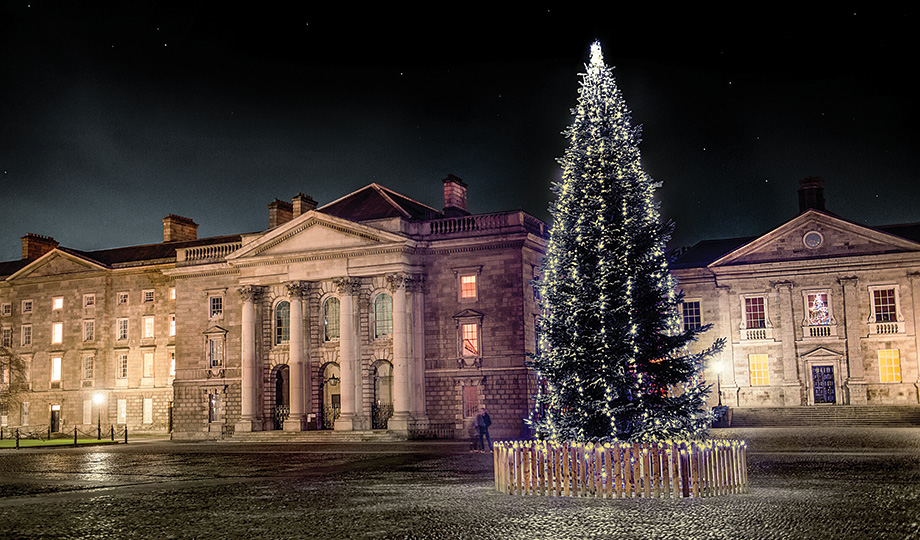 A Christmas tree at Trinity College