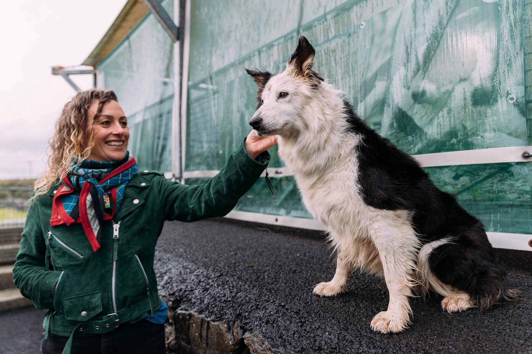 A woman pets a sheepdog at Caherconnell.