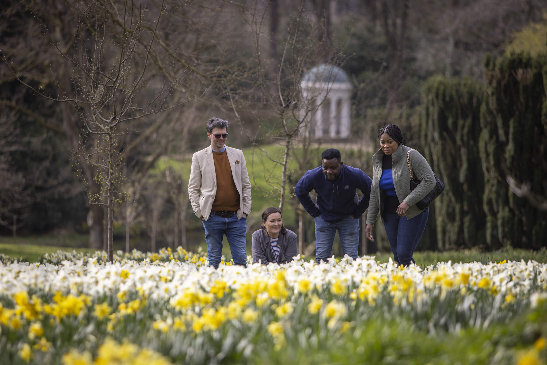 Hillsborough Castle - daffodils and crocuses