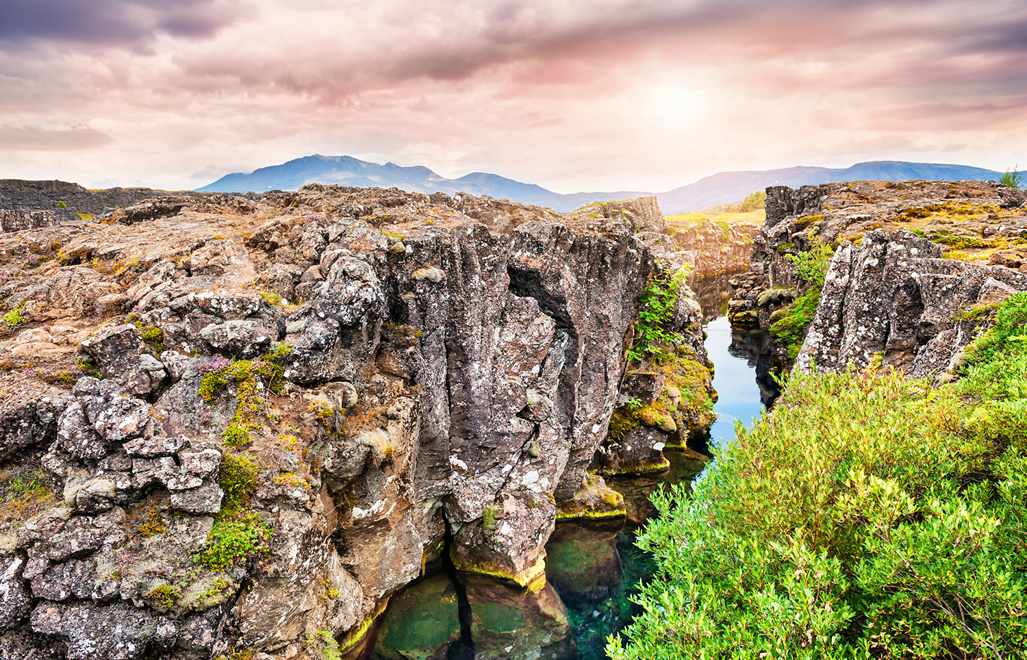 The green and rocky landscape at Thingvellir National Park
