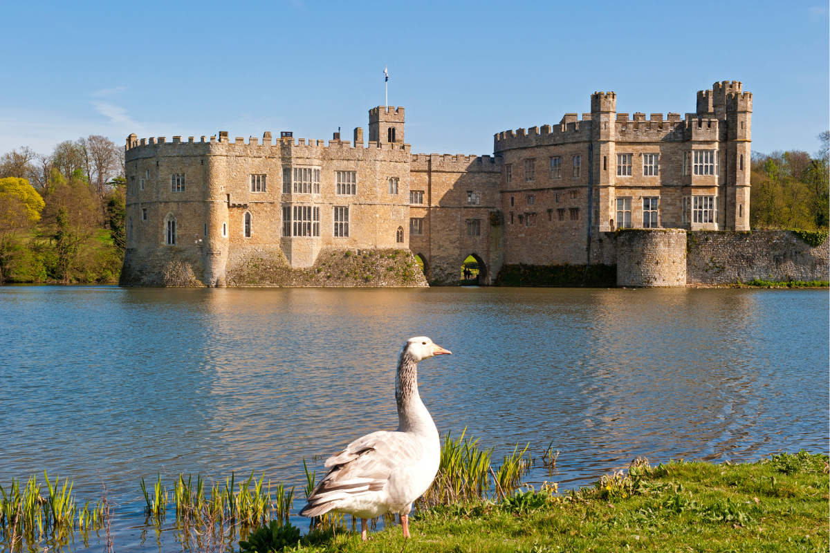 Leeds Castle