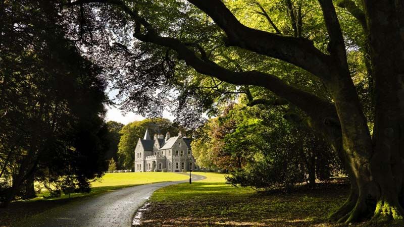 The meandering driveway to Mount Falcon Estate