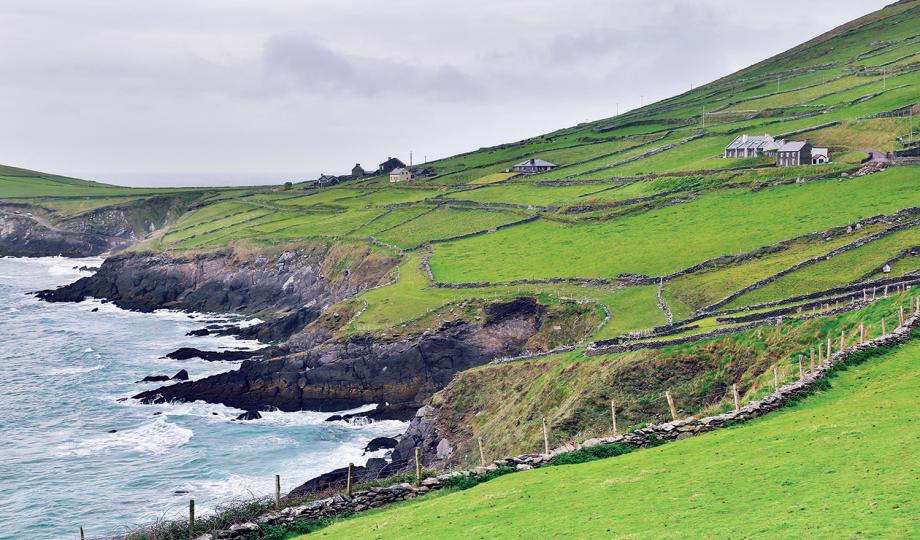 Dingle Coastline