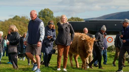 CIE Tours guests meeting Highland cattle during a guided tour in Scotland