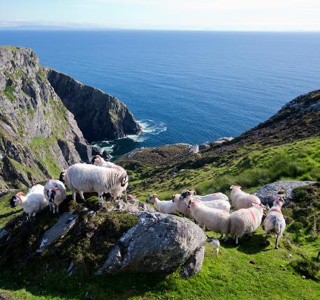 Slieve League Cliffs