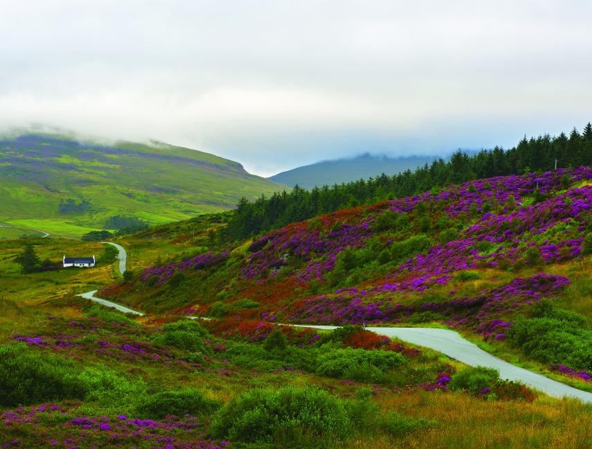 package tours scotland