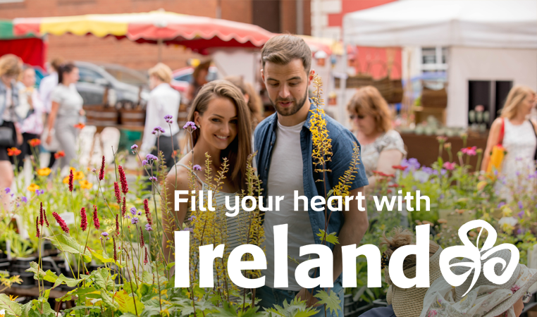 Visit Ireland in 2024!