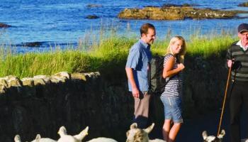 CIE Guided Tours to Europe