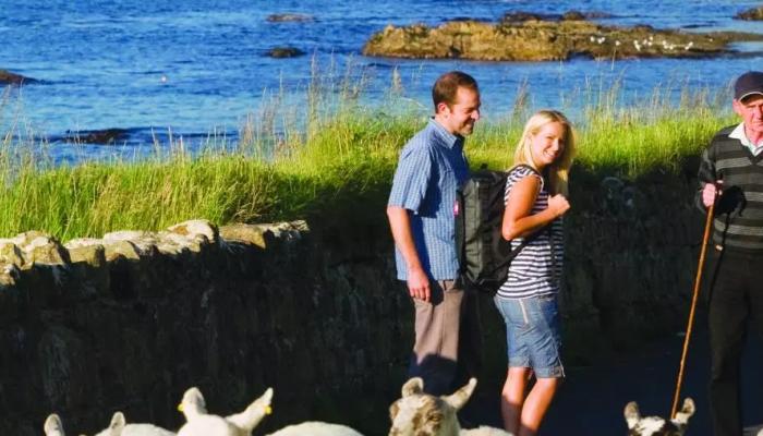 CIE Guided Tours to Europe