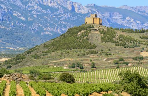 Rioja Winery