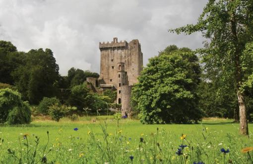 drinking tour of ireland