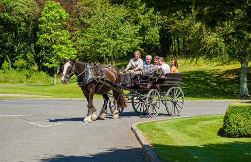 the best tour of ireland