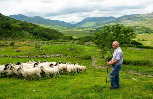 the best tour of ireland