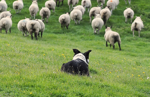 west coast of ireland tours