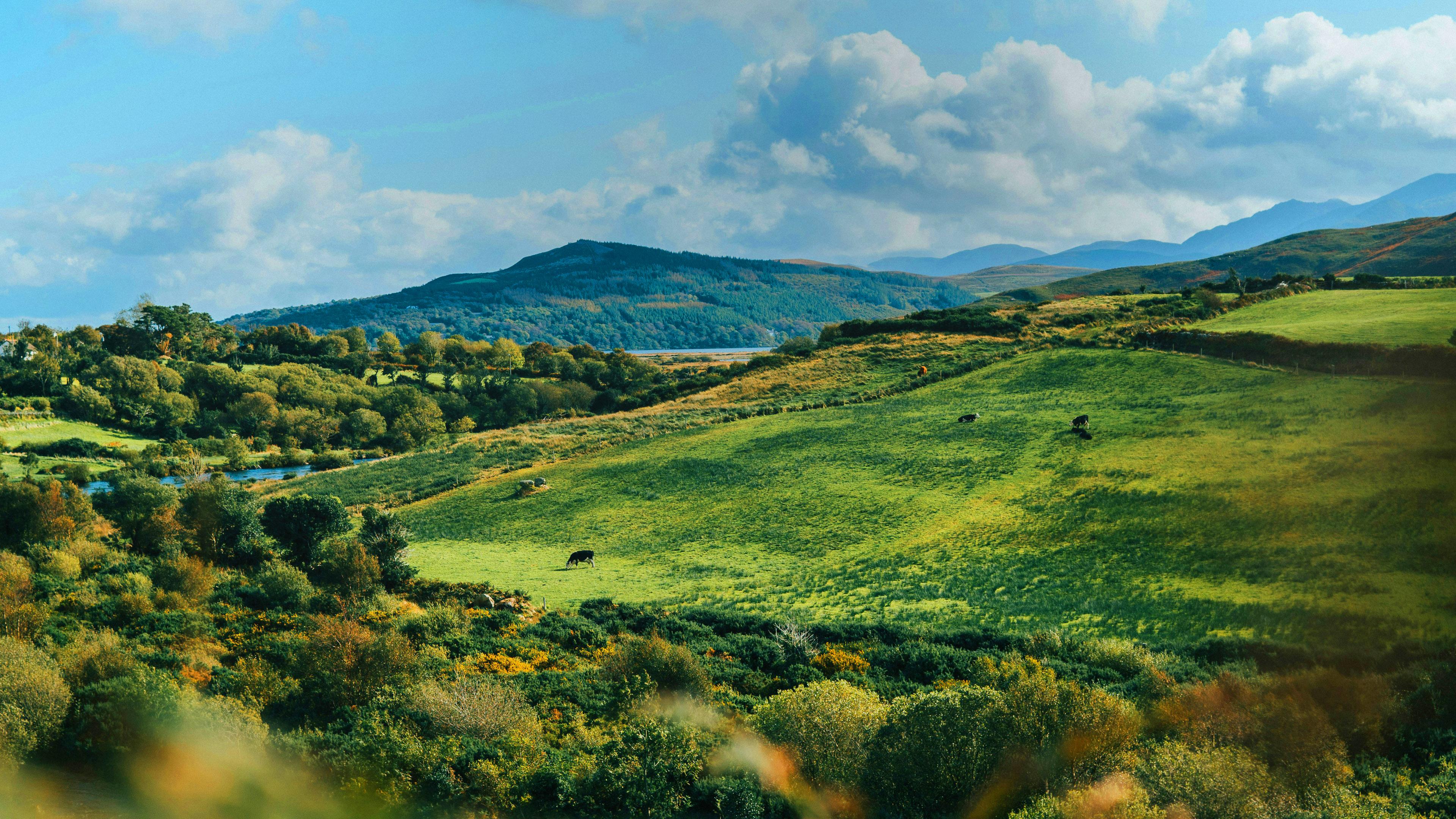 Rolling green hills of Ireland under a blue sky, highlighting CIE Tours guided tours and private driver vacation experiences in Ireland