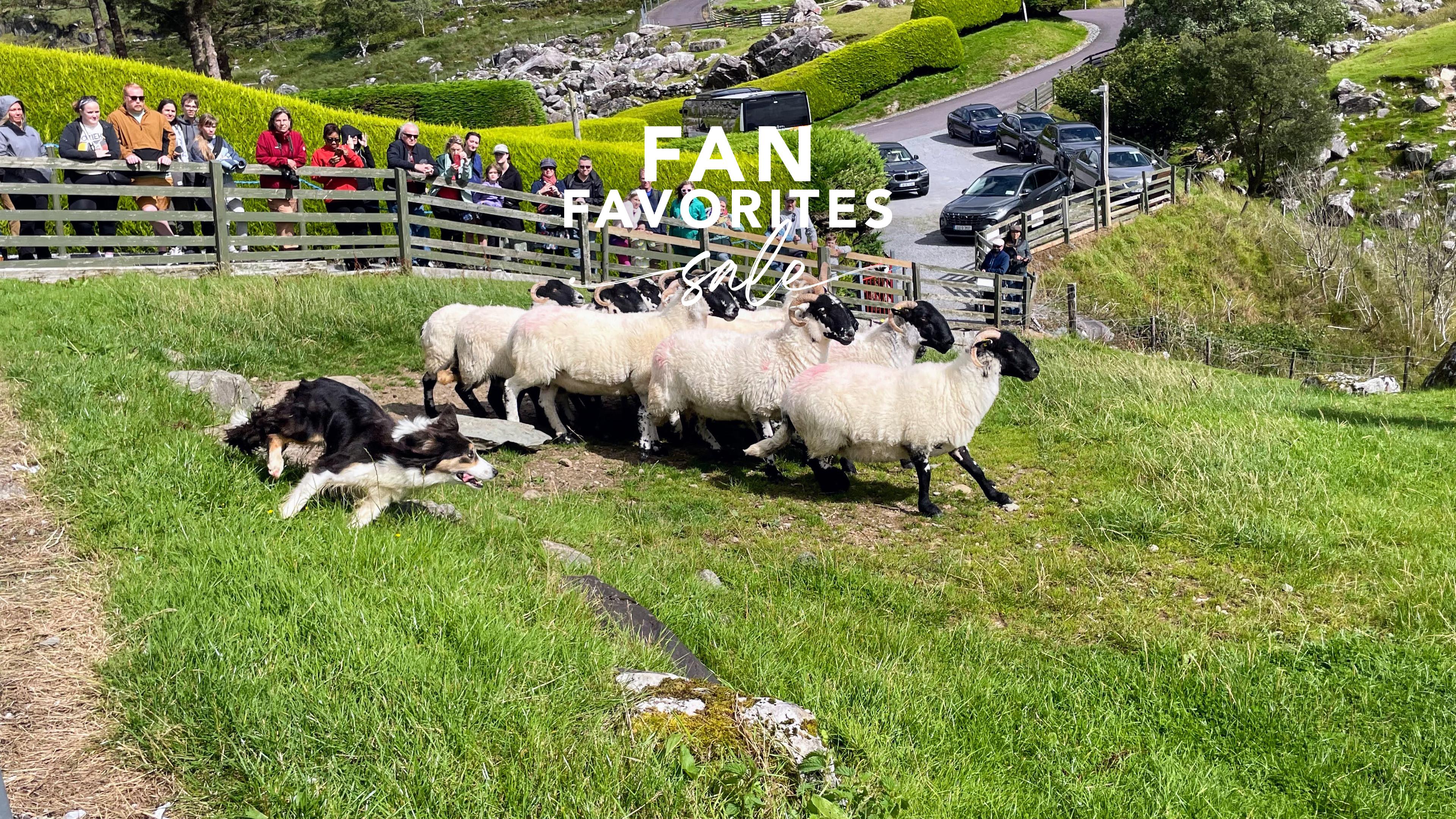 CIE Tours Fan Favorites Tour Sale